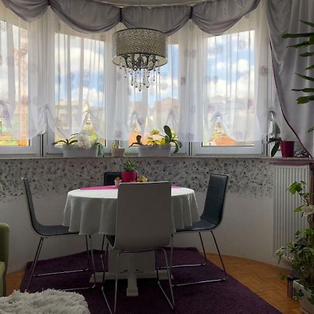 Apartman Lavanda Krapina Exteriör bild